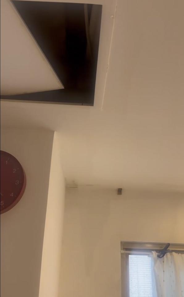 漏水處理案件圖片 漏水處理案件圖片