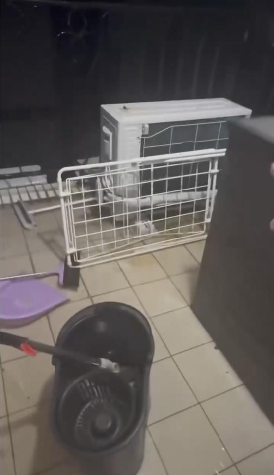 漏水處理案件圖片 漏水處理案件圖片