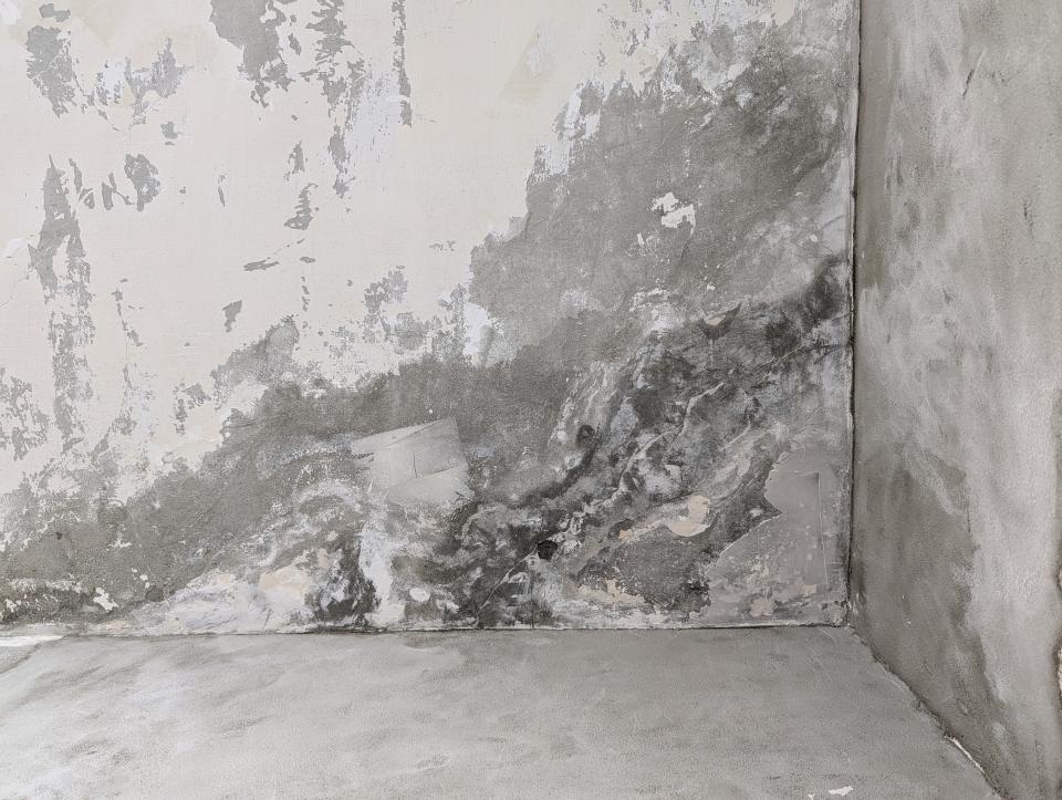 抓漏案件圖片 抓漏案件圖片