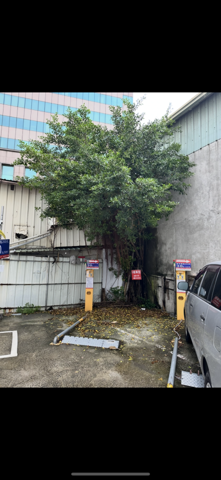 園藝維護案件圖片 園藝維護案件圖片