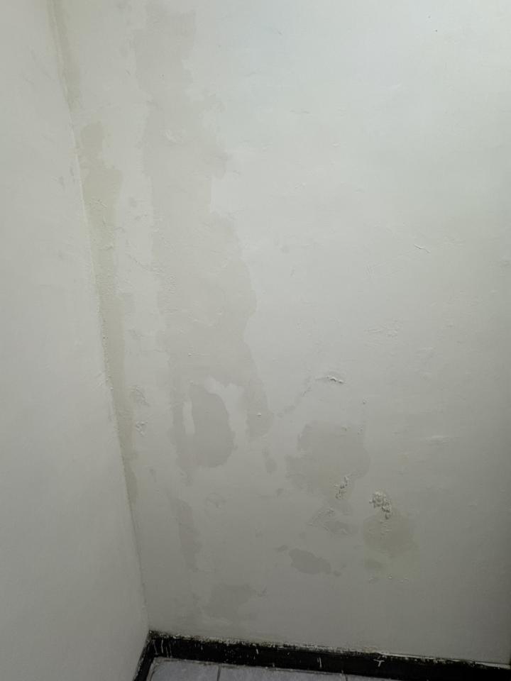 漏水處理案件圖片 漏水處理案件圖片