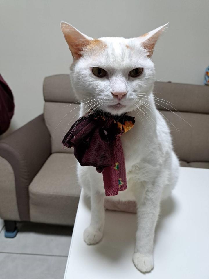 木頭雕刻代工案件圖片 木頭雕刻代工案件圖片