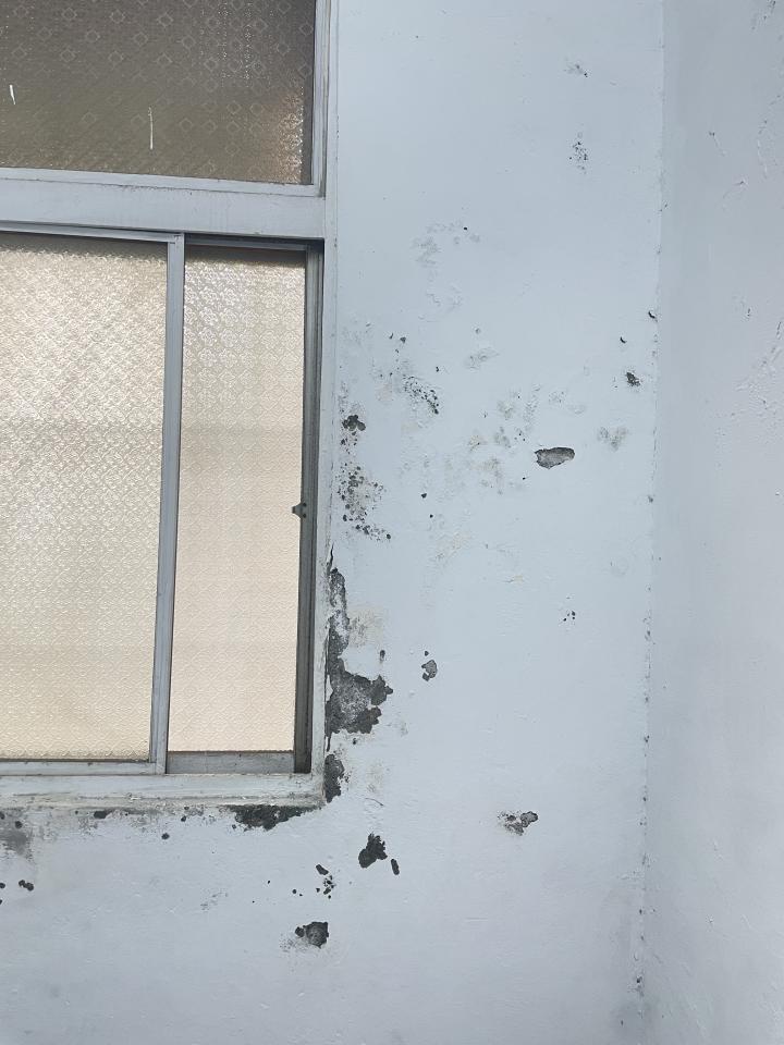 壁癌處理案件圖片 壁癌處理案件圖片