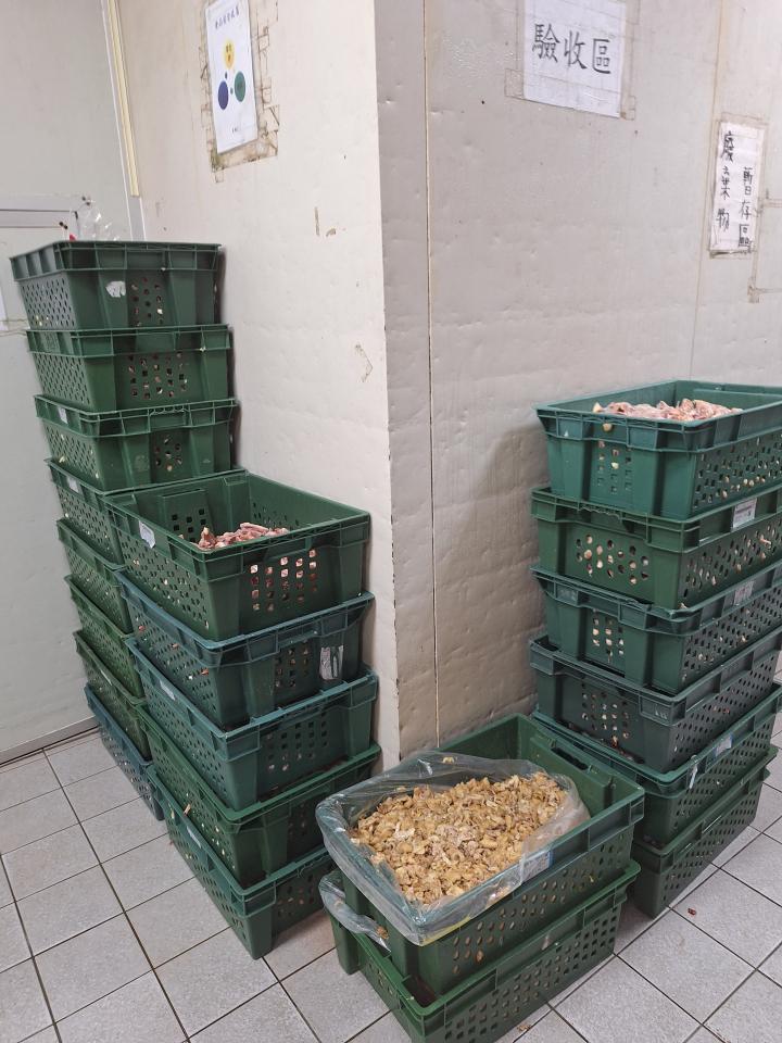 廚餘回收案件圖片