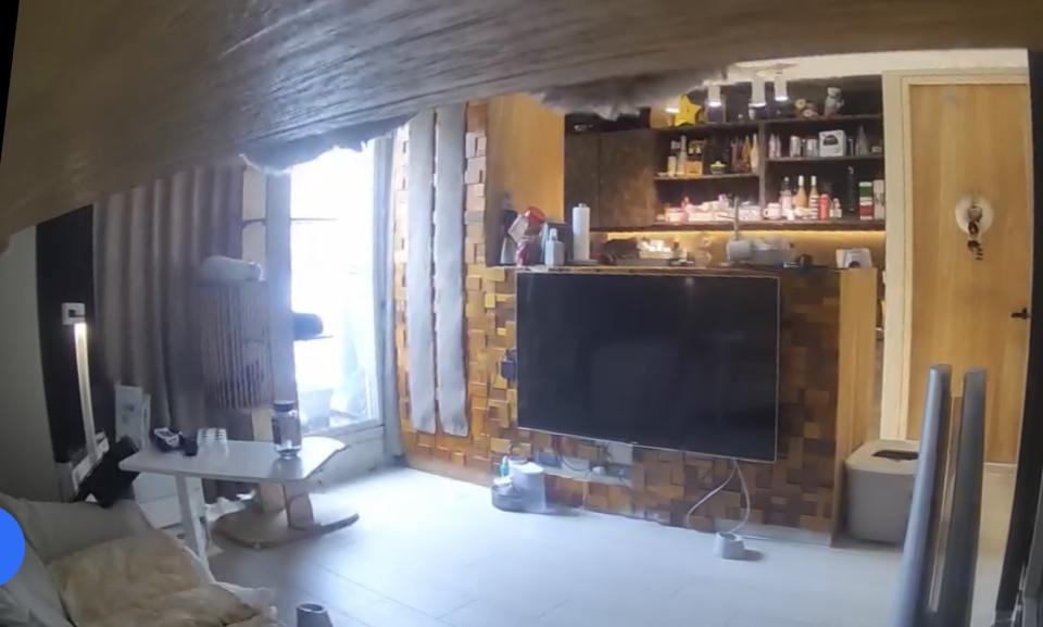 木工施工案件圖片 木工施工案件圖片