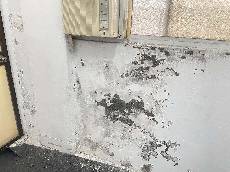壁癌處理案件圖片 壁癌處理案件圖片