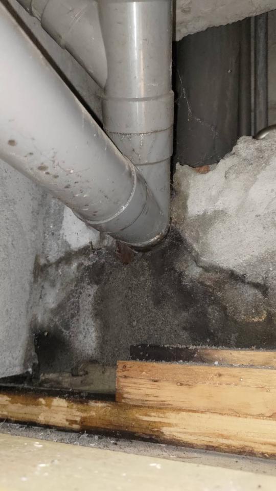 漏水處理案件圖片 漏水處理案件圖片