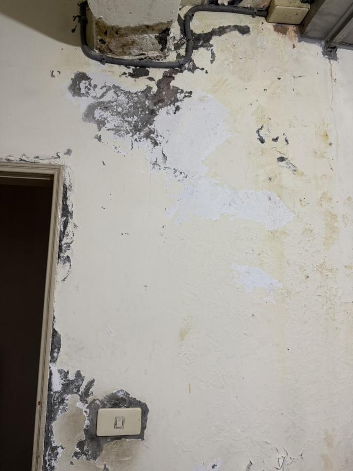 壁癌處理案件圖片 壁癌處理案件圖片