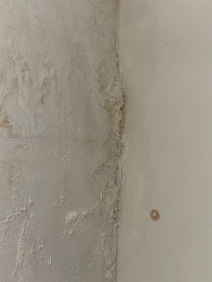 壁癌處理案件圖片 壁癌處理案件圖片