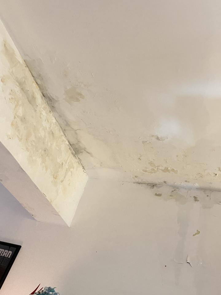 油漆工程案件圖片 油漆工程案件圖片
