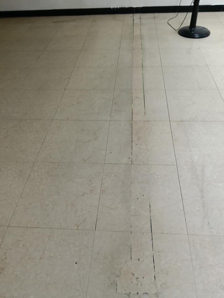 地板拋光打蠟案件圖片 地板拋光打蠟案件圖片