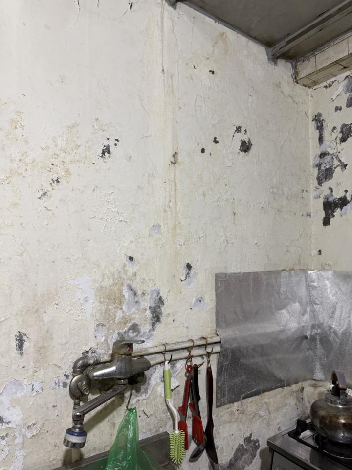 壁癌處理案件圖片 壁癌處理案件圖片