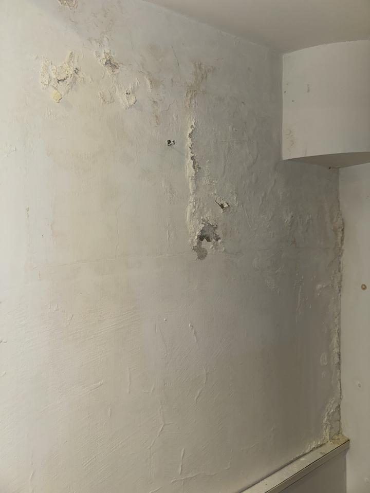 壁癌處理案件圖片 壁癌處理案件圖片