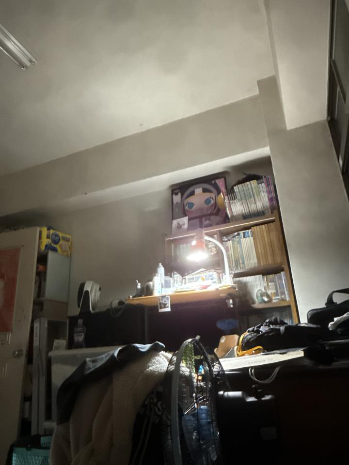 油漆工程案件圖片