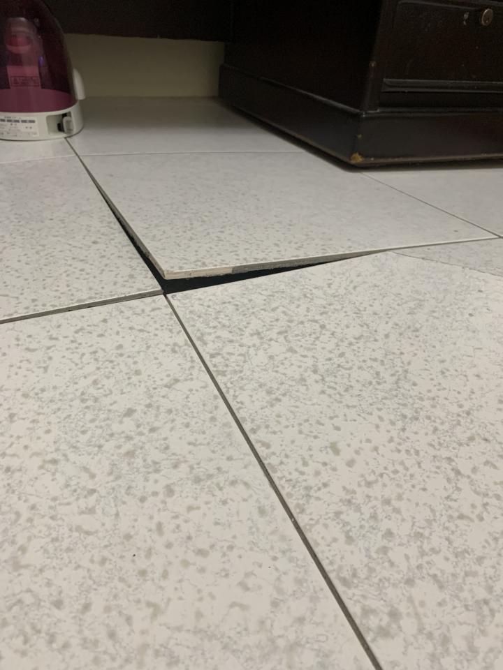 泥作/水泥施工案件圖片