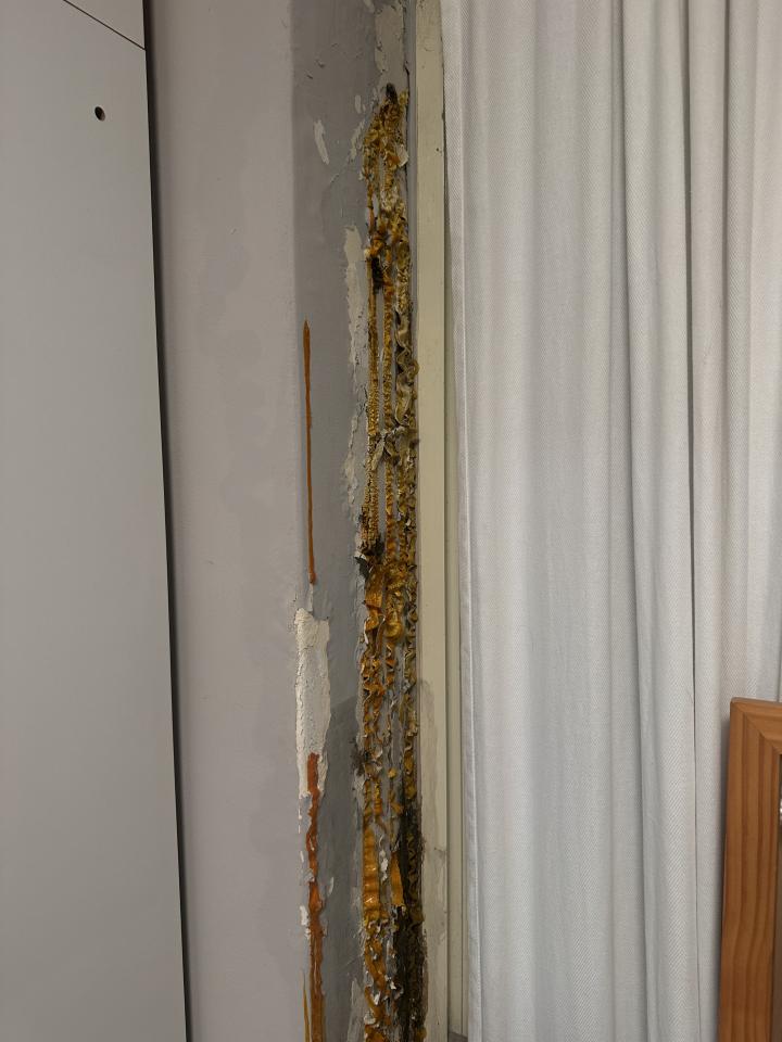 漏水處理案件圖片 漏水處理案件圖片