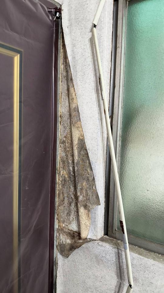 壁癌處理案件圖片 壁癌處理案件圖片