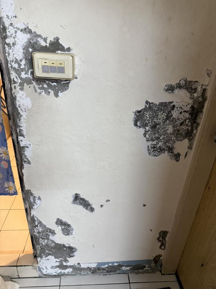 壁癌處理案件圖片 壁癌處理案件圖片