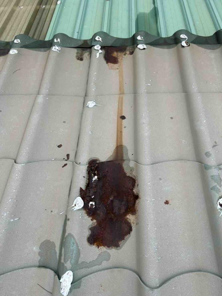 鐵皮屋頂案件圖片