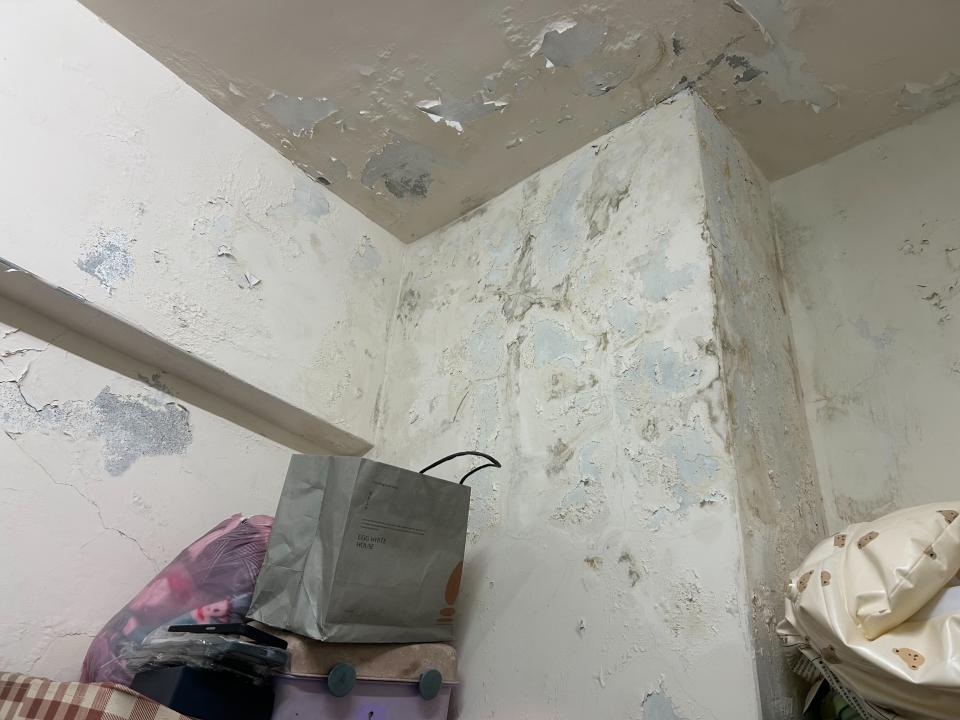 抓漏案件圖片 抓漏案件圖片