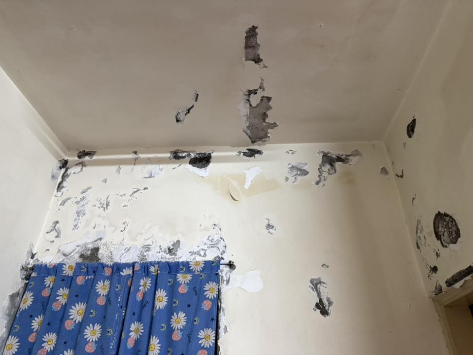 壁癌處理案件圖片 壁癌處理案件圖片