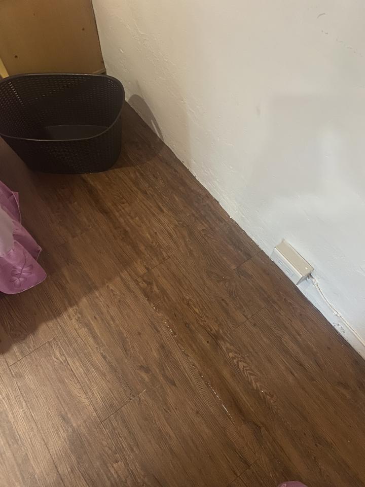 抓漏案件圖片 抓漏案件圖片