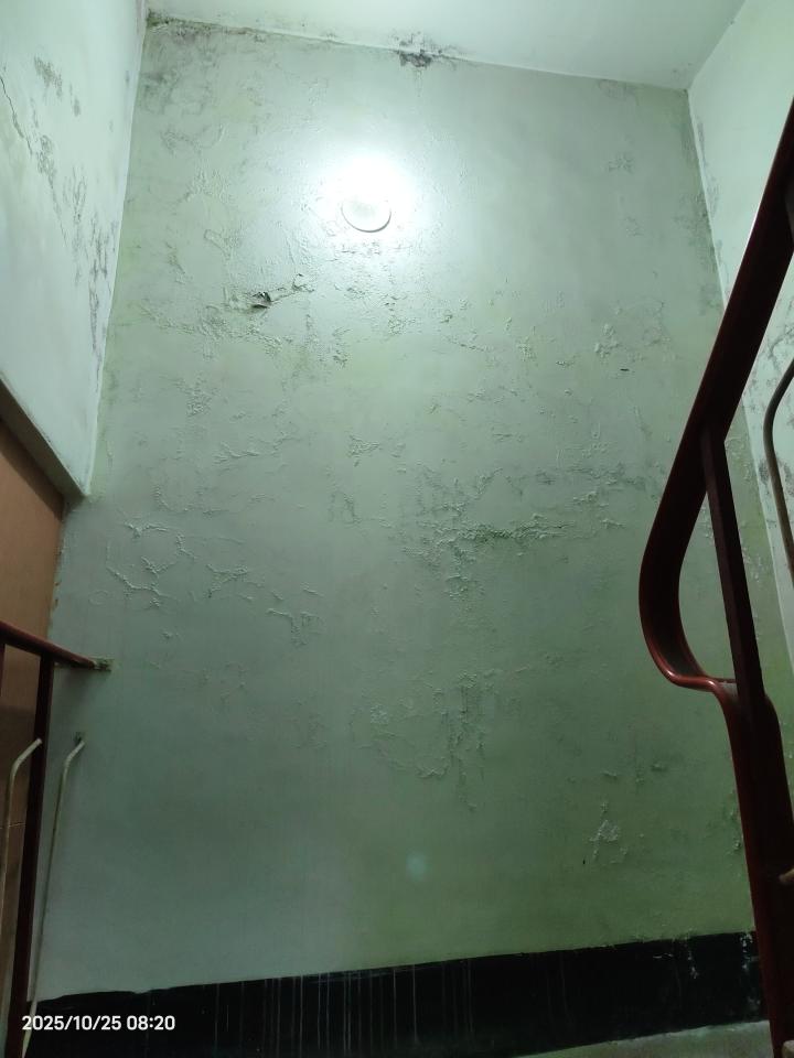 抓漏案件圖片 抓漏案件圖片