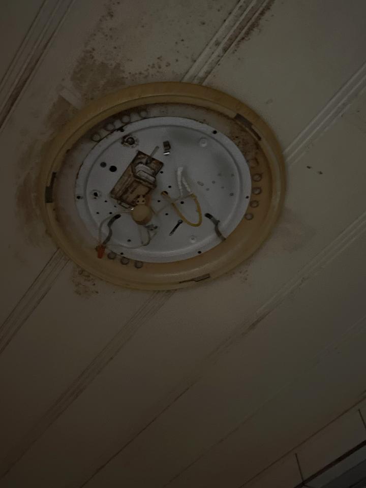 燈具安裝案件圖片 燈具安裝案件圖片