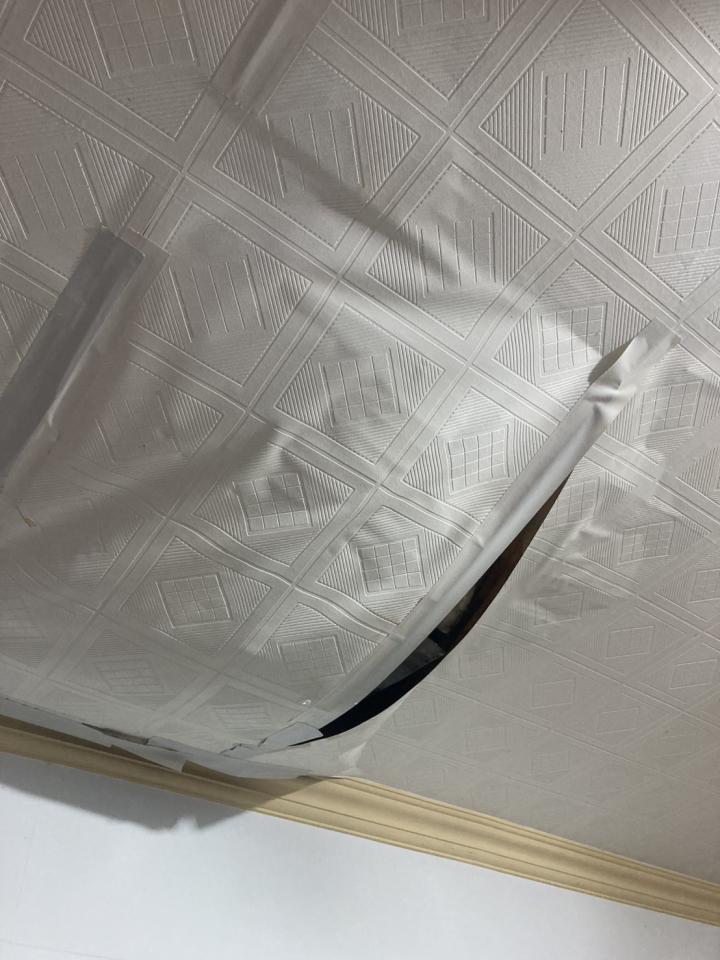 抓漏案件圖片 抓漏案件圖片