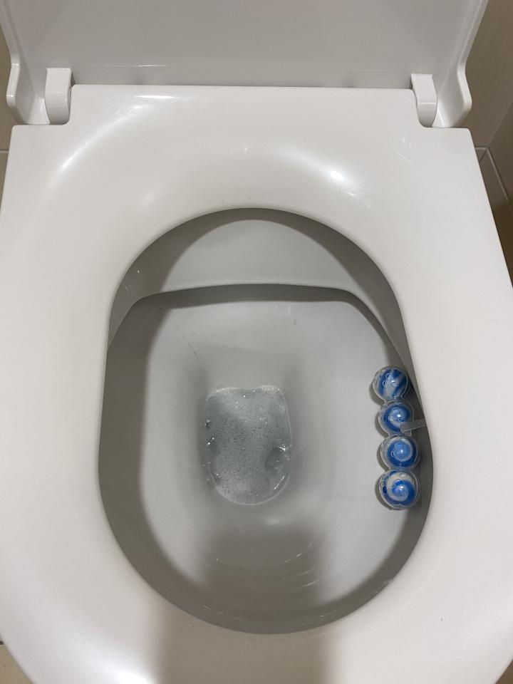 馬桶裝修案件圖片