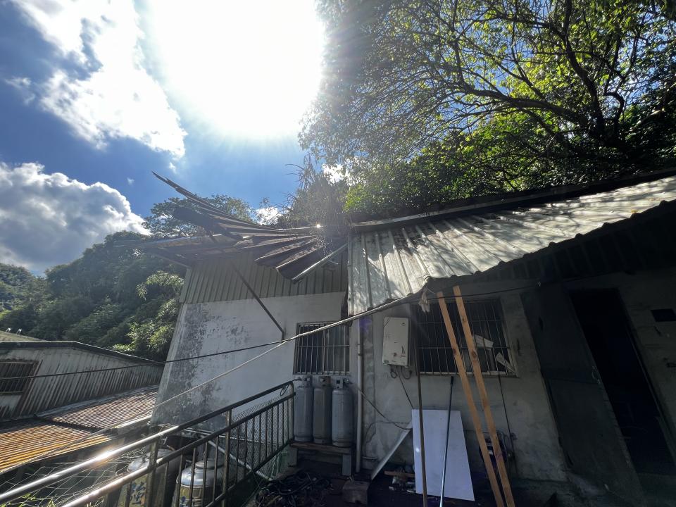 屋瓦翻修案件圖片