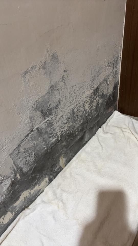 水電行案件圖片