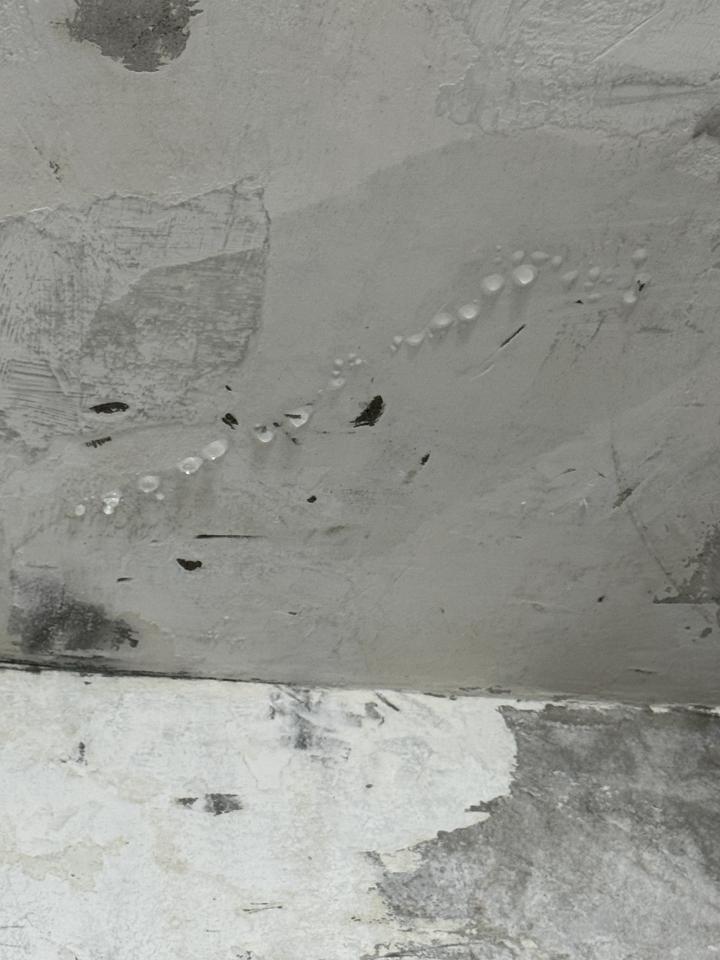 漏水處理案件圖片 漏水處理案件圖片