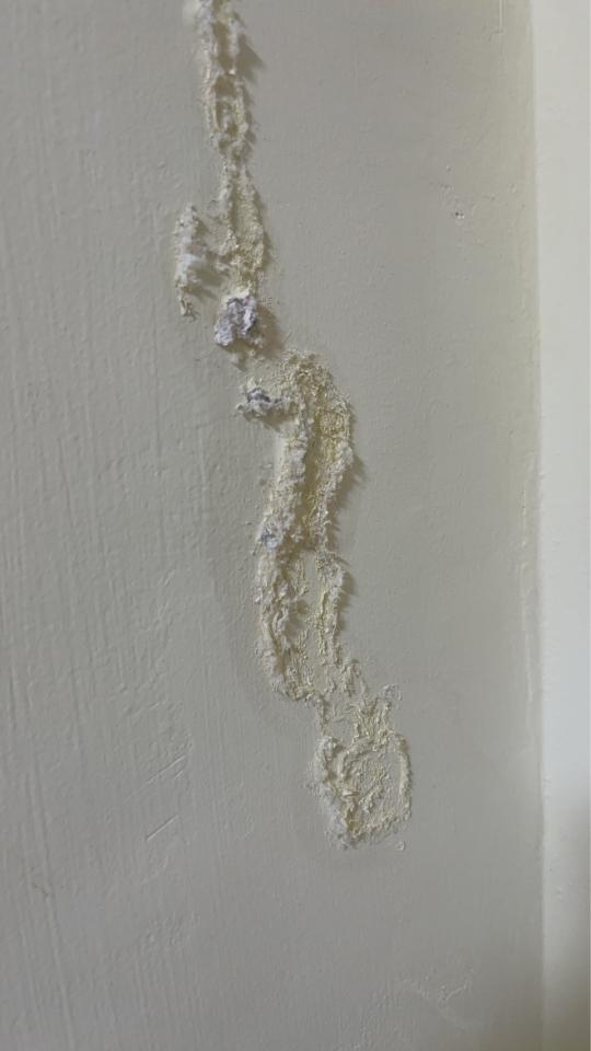 壁癌處理案件圖片