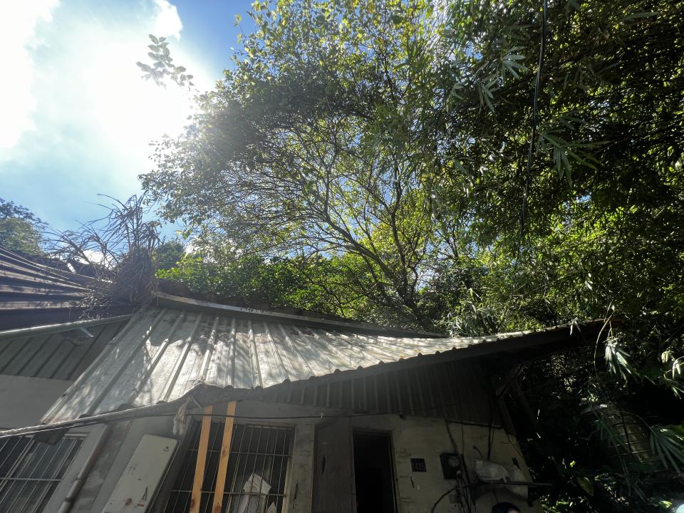 屋瓦翻修案件圖片