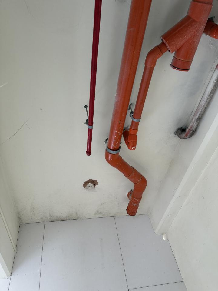 油漆工程案件圖片