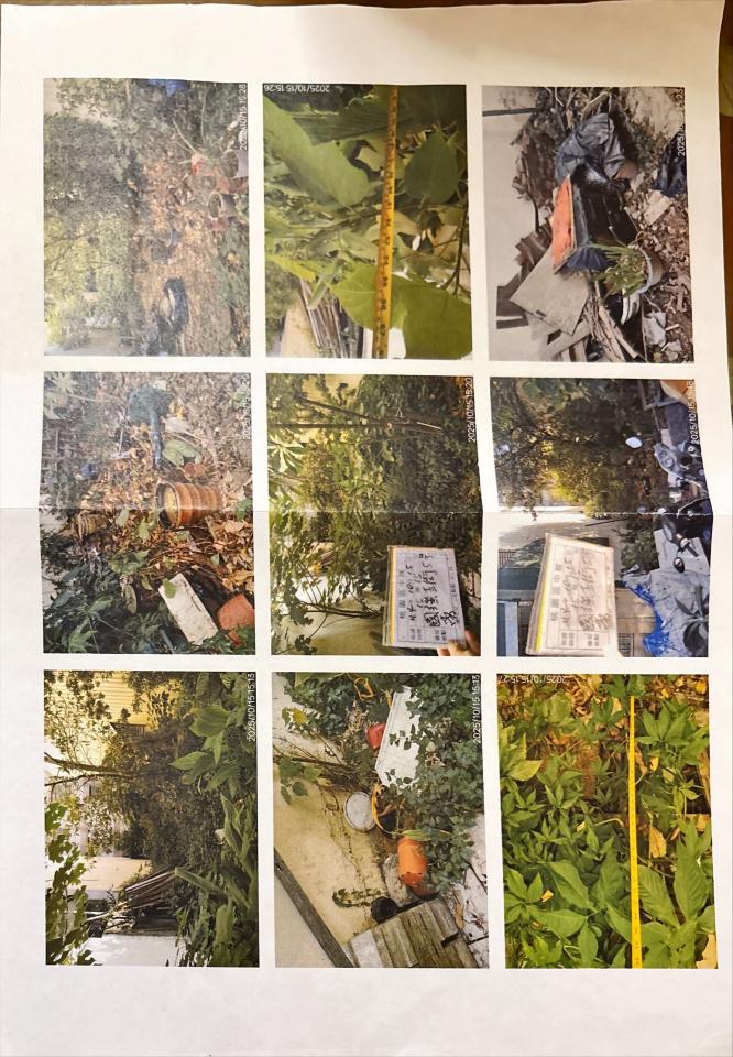 大型垃圾回收案件圖片 大型垃圾回收案件圖片