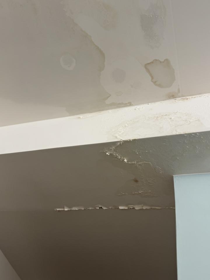漏水處理案件圖片 漏水處理案件圖片
