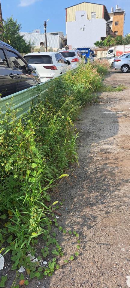 園藝維護案件圖片 園藝維護案件圖片