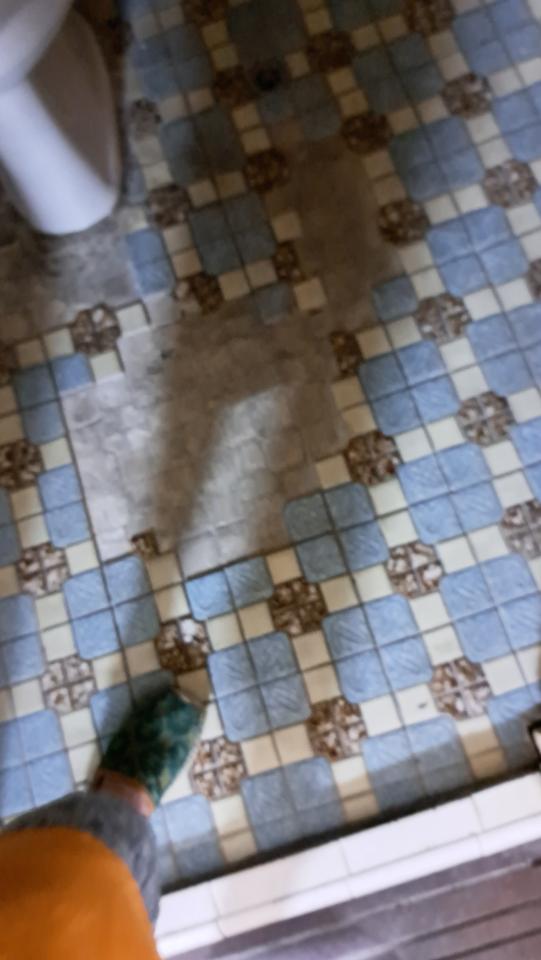 整體衛浴案件圖片