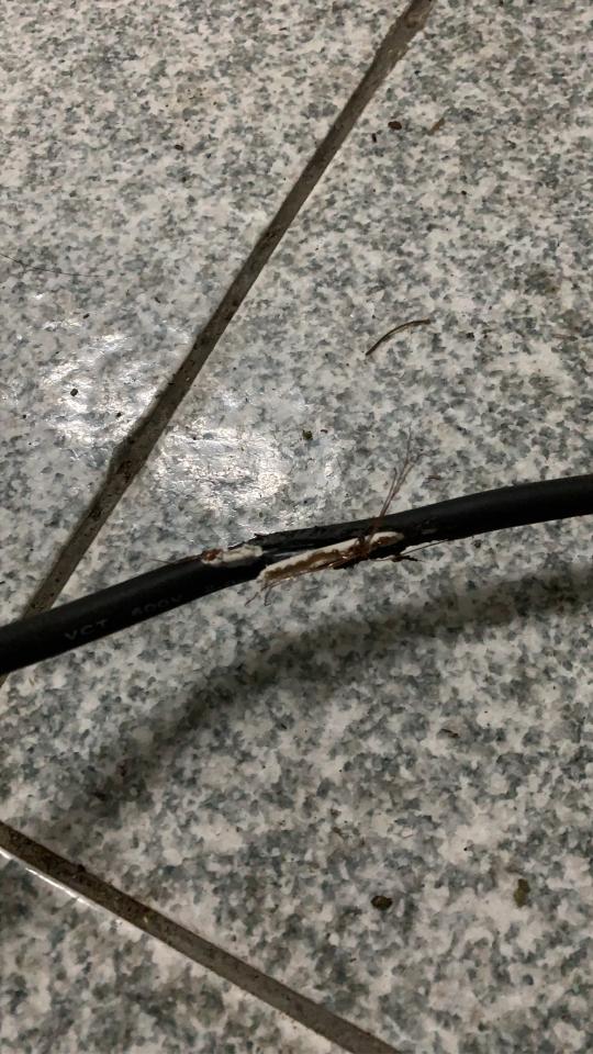 冰箱維修案件圖片 冰箱維修案件圖片