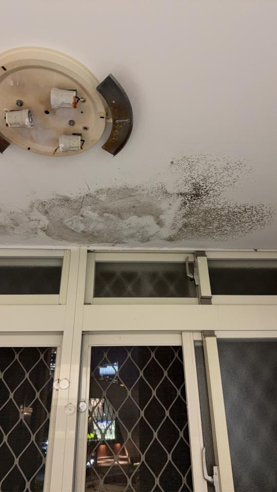 漏水處理案件圖片 漏水處理案件圖片