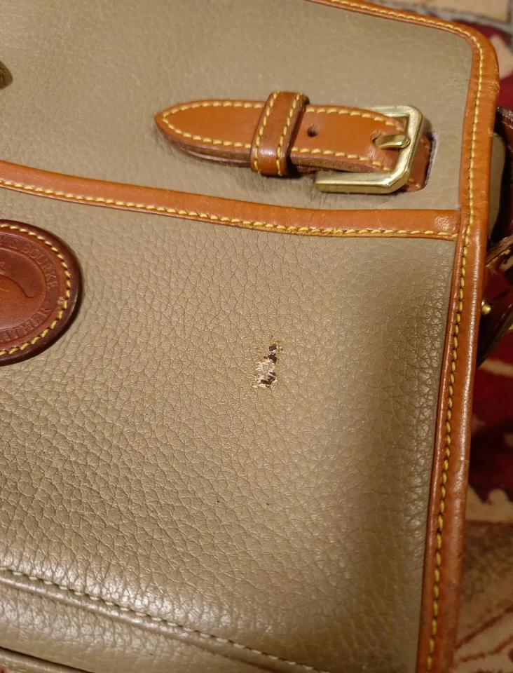 皮革保養案件圖片