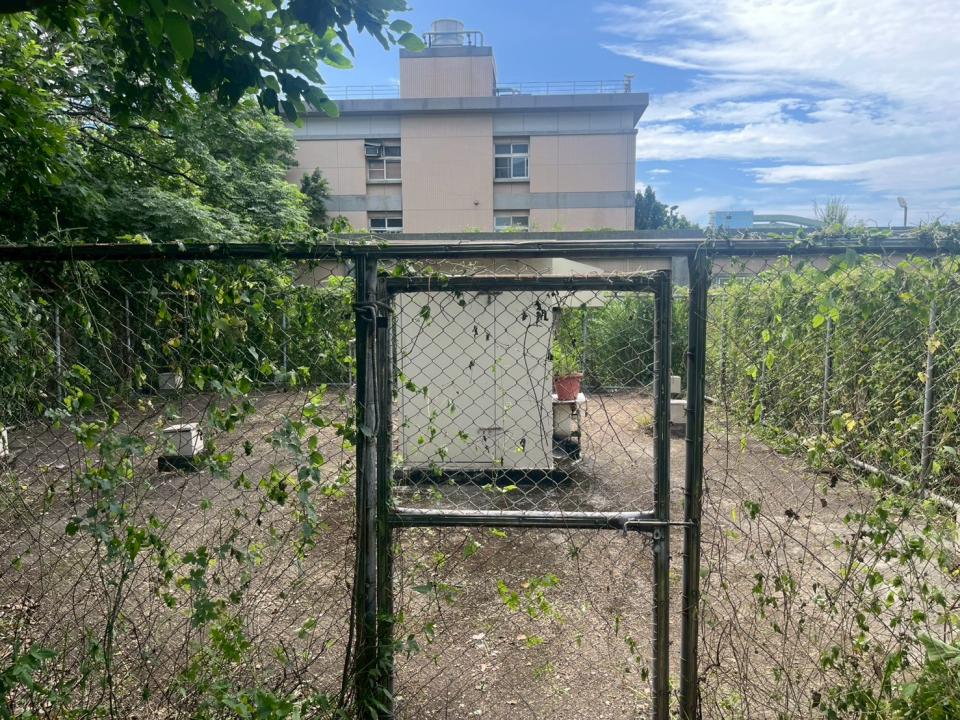 園藝維護案件圖片 園藝維護案件圖片