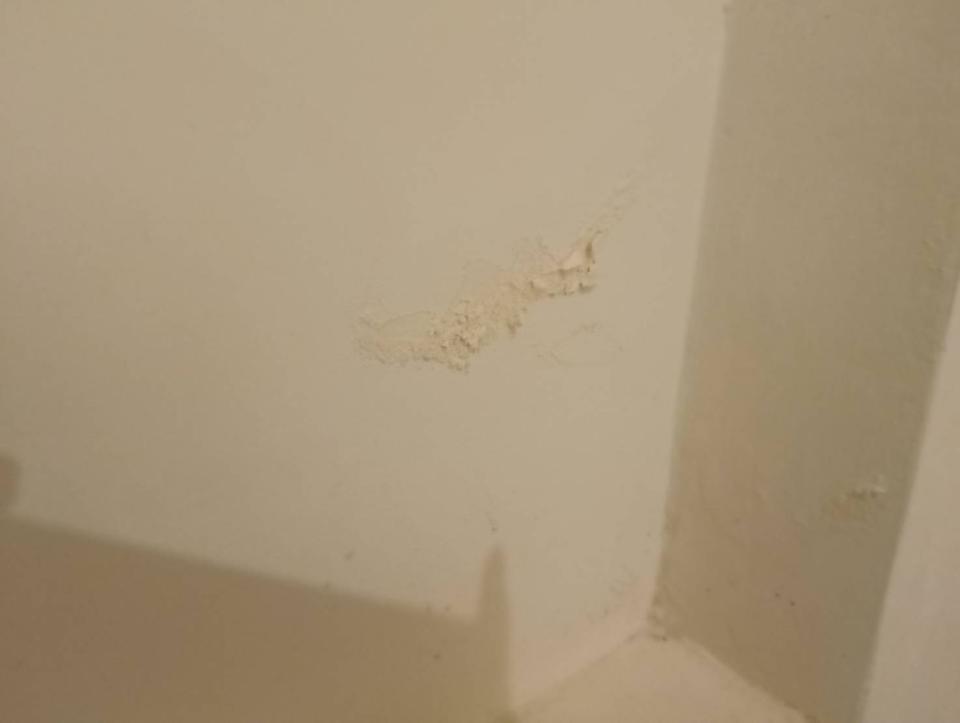 抓漏案件圖片 抓漏案件圖片