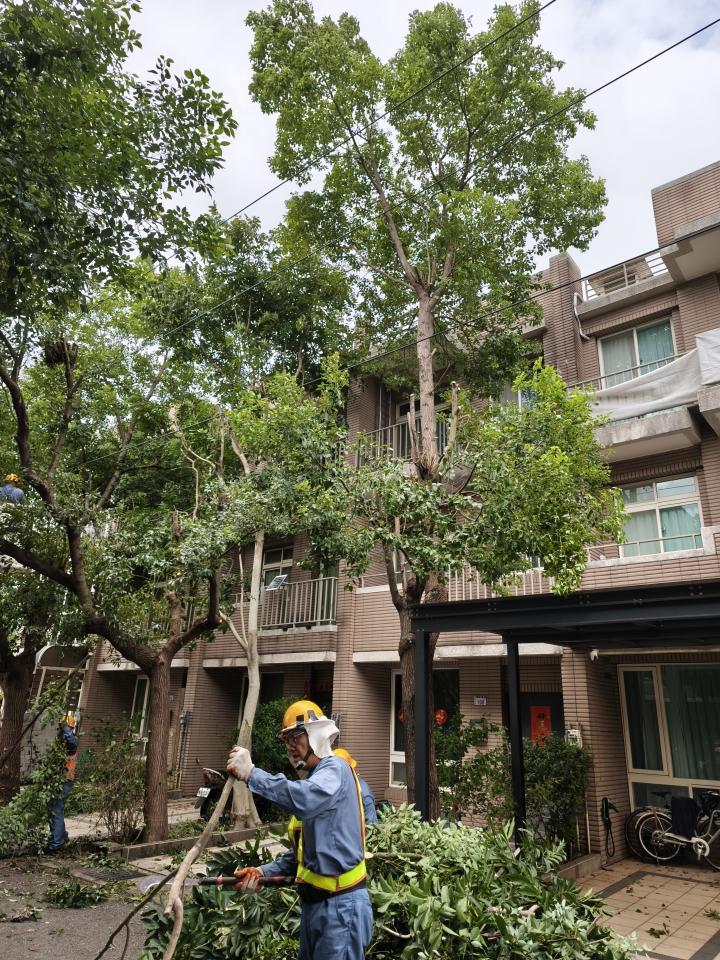 園藝維護案件圖片 園藝維護案件圖片