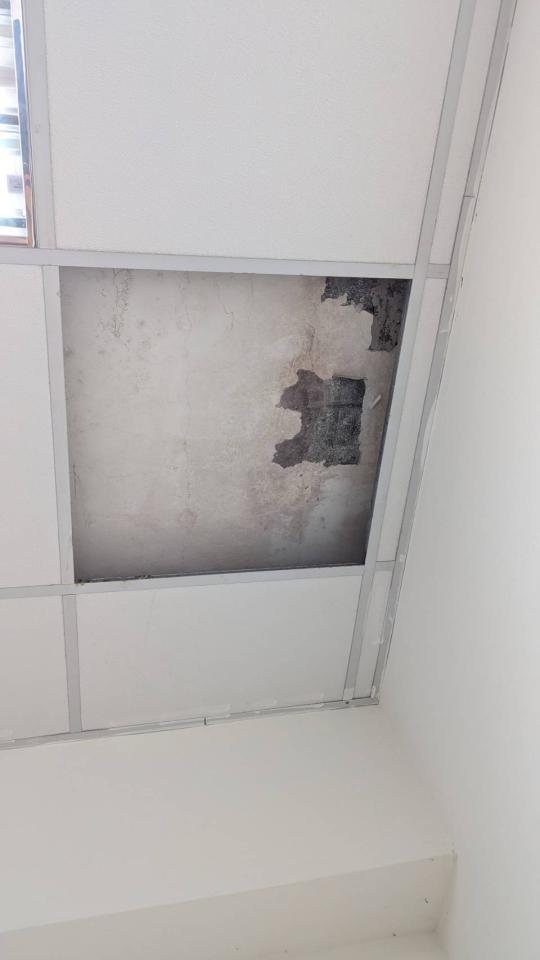 抓漏案件圖片 抓漏案件圖片