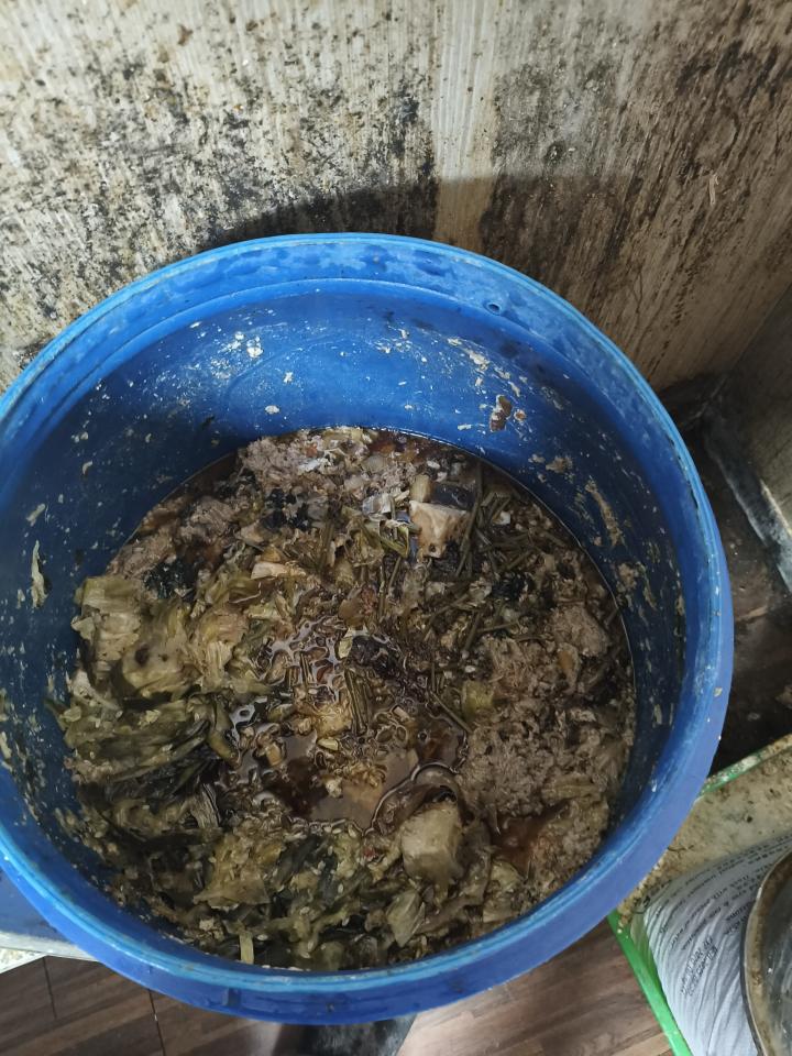 廚餘回收案件圖片