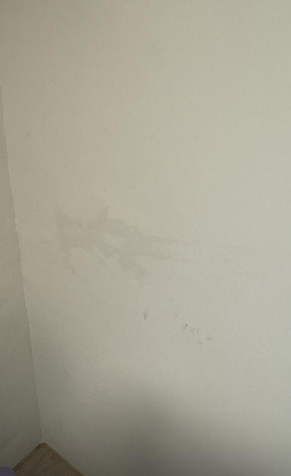 抓漏案件圖片 抓漏案件圖片