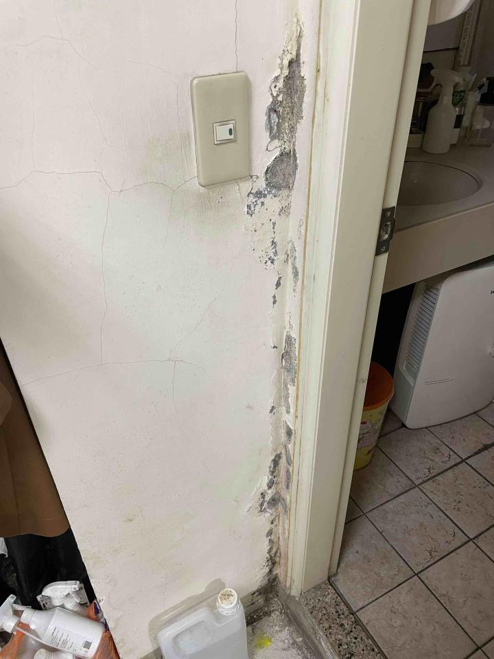 壁癌處理案件圖片